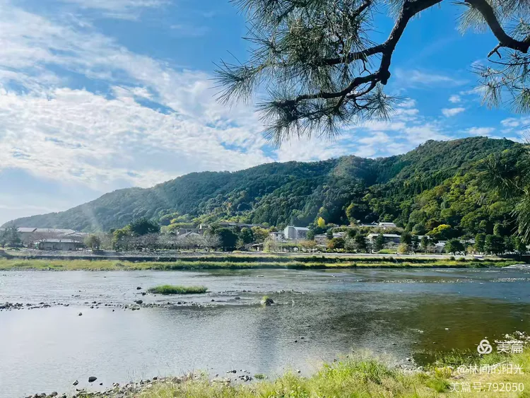 日本关西行(十一)京都第一名胜——岚山